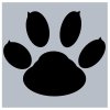 Boldbeast Logo